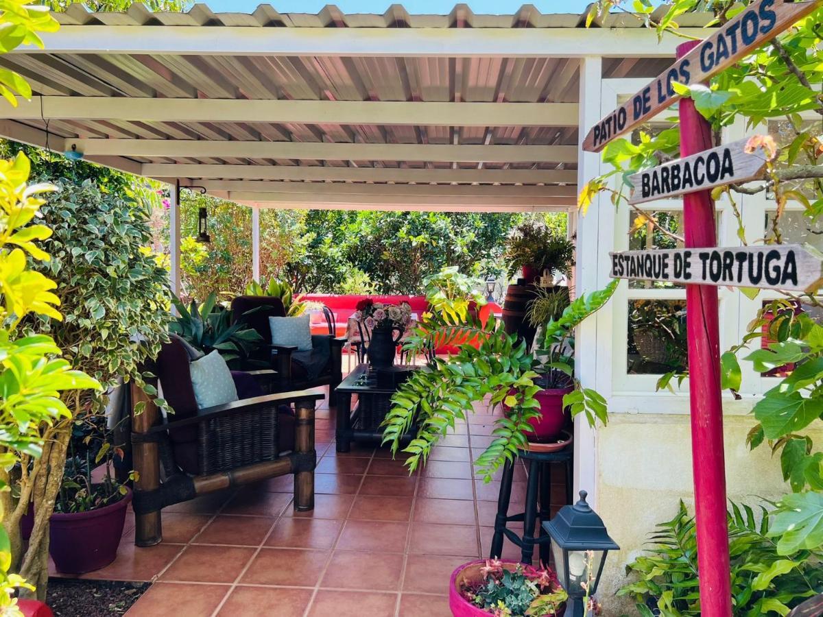 Casa Lazaro, Tegueste Buitenkant foto